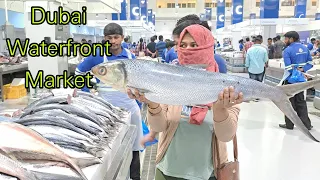 Dubai WaterFront Market | Largest Seafood Market 😳 | Fish,Fruits Vegetables Market |