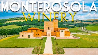 STATE-OF-THE-ART 125-HA ORGANIC WINERY AND VINEYARDS FOR SALE IN VOLTERRA, TUSCANY | ROMOLINI