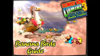 DONKEY KONG COUNTRY 3 - Banana Birds guide + SECRET ENDING - 103% [NO COMMENTS]