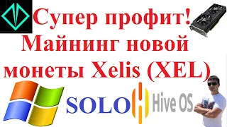 Супер профит! Майнинг новой монеты Xelis (XEL) в Hive OS и Windows!