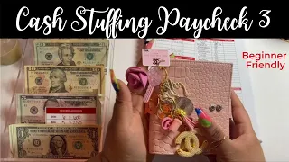 Cash Envelope Stuffing + Sinking Funds - January 2022 - OhmyfroBudgets