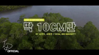 십센치 [10cm], 서동현 [BIG Naughty] - 딱 10CM만 [Just 10 Centimeters] | [Cover by IrvanDevs]