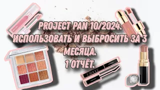 Project pan 10/2024. Использовать и выбросить за 3 месяца. 1 отчёт 🤩👌.