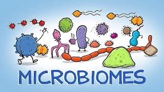 The HIDDEN World of Microbiomes