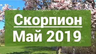 СКОРПИОН. Сатурн Ретро в 3 доме  ГОРОСКОП на МАЙ 2019 астролог Olga