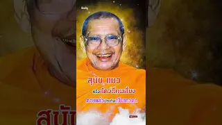 สุนัข แมว หรือสัตว์ที่คนเลี้ยง ตายแล้วมักเกิดเป็นเทวดา  #ธรรมะ #หลวงพ่อฤษีลิงดำ_วัดท่าซุง