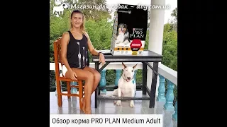 Обзор сухого корма Pro Plan Medium Adult