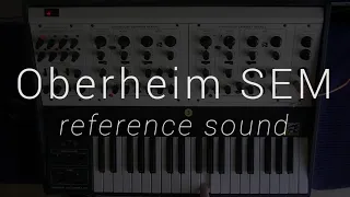 Oberheim SEM Module in TVS