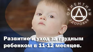 Развитие и уход за грудным ребенком в 11-12 месяцев.