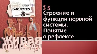 Биология 8 класс. Строение и функции нервной системы. Понятие о рефлексе