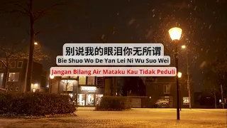 Bie Shuo Wo De Yan Lei Ni Wu Suo Wei《别说我的眼泪你无所谓》【Lagu Mandarin】 [SubIndo/Pinyin Lyric & terjemahan]