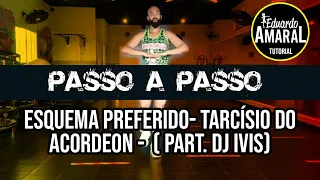 AULA 33 PASSO A PASSO -Esquema Preferido- Tarcísio do Acordeon -  ( part. DJ Ivis) fitdance