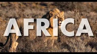 ROYALTY FREE African Positive Inspiring Tribal Instrumental Background Music For Videos