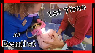 2 Year Old at the Dentist. It Was Scary But Fun!