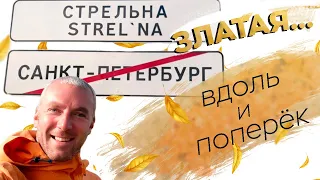 Златая Стрельна. Вдоль и поперёк...