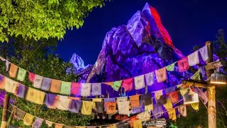 Expedition Everest Queue 3 Hour Loop