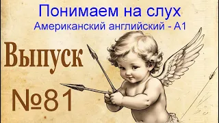 81 Выпуск тренажера "Восприятие американского английского на слух". Рассказы 161-162