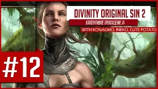 Divinity: Original Sin 2 - Неистовый квартет! Ламповые посиделки! [Стрим #12]