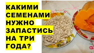 Какими семенами нужно запастись на три года? Сроки хранения семян овощных растений