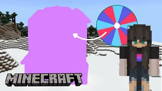 Spinning a wheel to decide my minecraft house 🏡 2