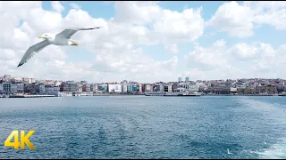 Ferry ride with seagulls from Kadıköy to Karaköy Istanbul, Turkey 4k 60fps