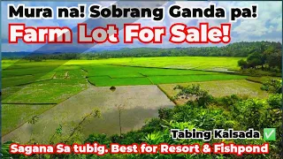 Farm lot For Sale V#110🥰  9 Hectares.65pesos per sqm. nyogan at palayan.  Tabing Creek at Kalsada!.