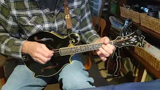 Black Diamond - Dave Herzog - Mandolin