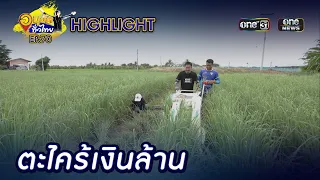 ปลูกตะไคร้เงินล้าน จ.พิษณุโลก | Highlight | อนุวัตทั่วไทย | EP 70 | one31