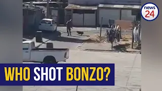 WATCH | Lockdown: Who shot Bonzo? SANDF denies shooting dog