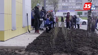 Сиреневую аллею высадили в Череповце в честь Дня Победы