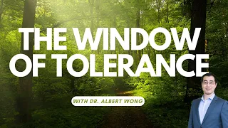 The Window of Tolerance: Understanding Trauma Responses and Finding Safety