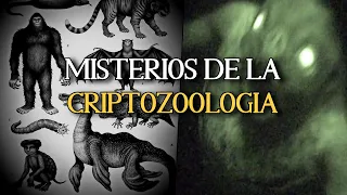 LOS MISTERIOS DE LA CRIPTOZOOLOGIA (historias escalofriantes de encuentros cercanos)