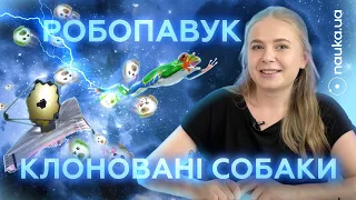 Клоновані біглі, робот зі справжнього павука і тепло печер на Місяці