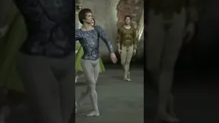 Rudolf Nureyev as Prince Siegfried in SWAN LAKE ACT 1, a Tchaikovsky ballet #shorts #short #ballet