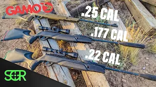 .177 VS .22 VS .25 - GAMO POWER TEST!