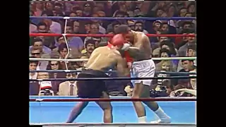 Mike Tyson vs James Tillis (highlights)