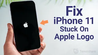 2024 How to Fix iPhone 11 Stuck on Apple Logo/Boot Loop without Losing Any Data