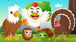Cute Little Farm Animal Sounds - Eagle, Ostrich, Rooster, Hedgehog, Tortoise - Music For Relax