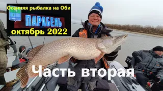 Парабель. Осенняя рыбалка на Оби. Октябрь 2022. Часть вторая.