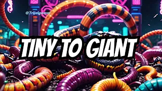 GIANT SLITHER SNAKE | Epic Worms Zone Best Gameplay | From Tiny to giant Snake #017