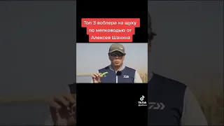 Топ 3 воблера на щуку по мелководью