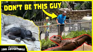 TOURISTS CAUGHT ABUSING ANIMALS AT THE LA ZOO!