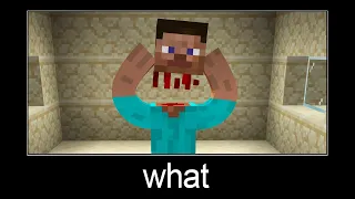 Minecraft wait what meme part 222 (Mad Steve)