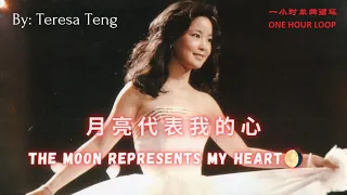 ♬一小时单曲循环/ONE HOUR LOOP♬【月亮代表我的心 - 邓丽君】THE MOON REPRSENTS MY HEART - TERESA TENG / Lyrics&Translation