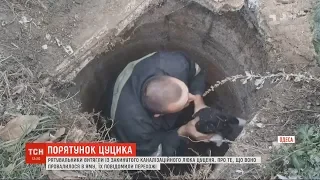 Маленького цуцика врятували з каналізаційного люка на Одещині