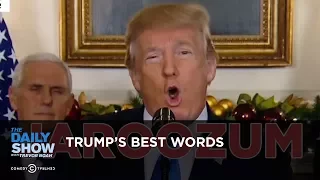 Trump's Best Words: The Daily Show