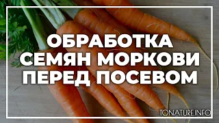 Обработка семян моркови перед посевом | toNature.Info