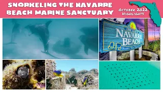 Snorkeling Navarre Beach Reef, October 2022 Highlights