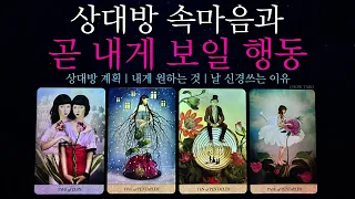 [타로]그 사람 속마음과 1주일 안에 내게 보일 행동!🔮