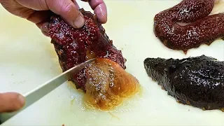 Japanese Street Food - RED SEA CUCUMBER Seafood Japan